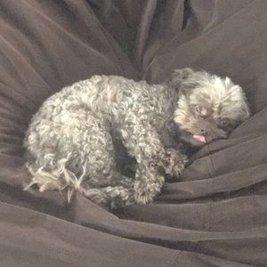 Meet your Posher, Miranda